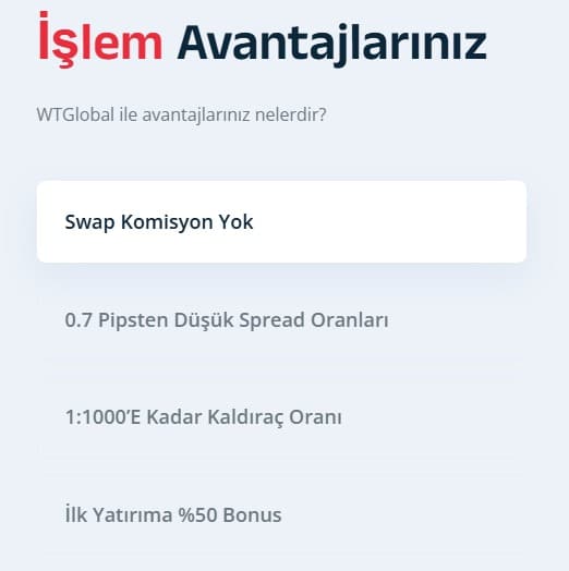 wt global işlem koşulları