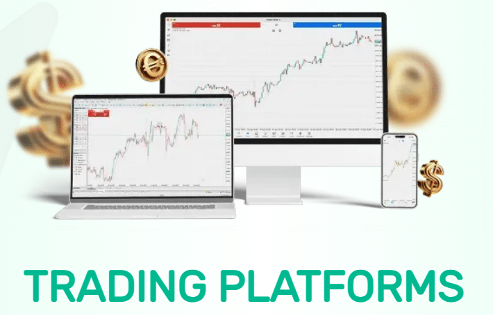 wingo markets platform