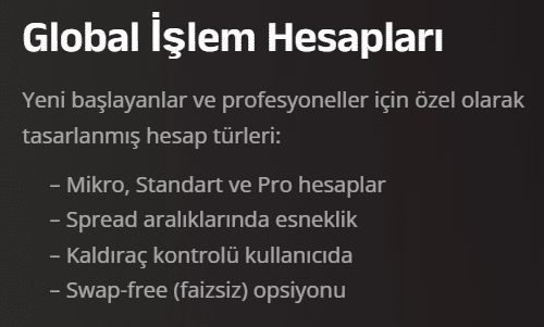 nerox invest hesap türleri