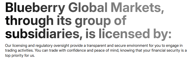 blueberry global markets lisans