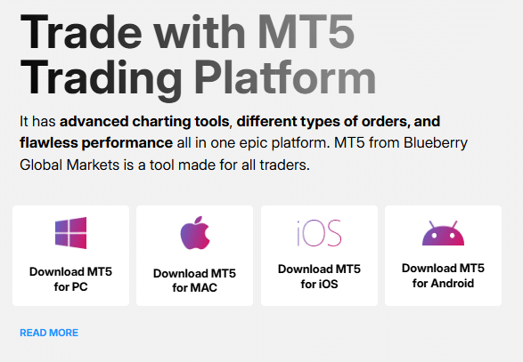 blueberry global markets platform